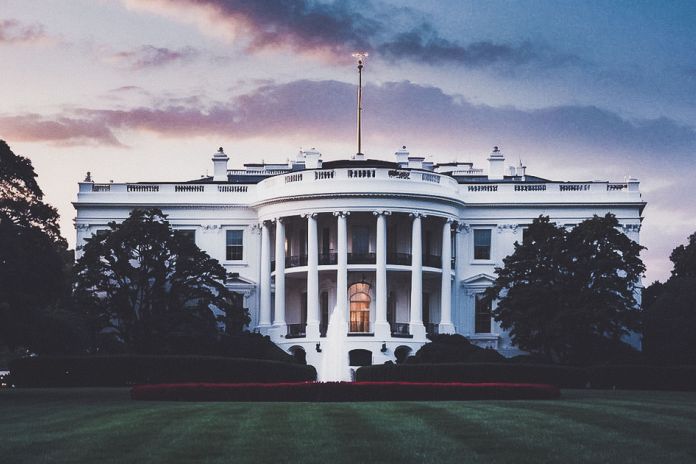 Белый дом рассмотрит вопрос использования xAI Grock Илона Маска в системе государственного аппарата